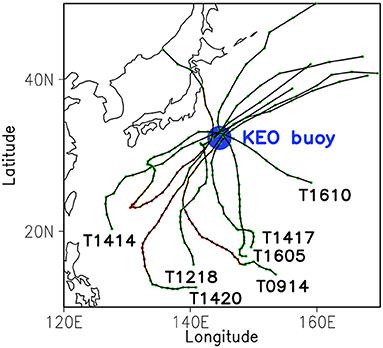 Sporadic Low Salinity Signals in the Oceanic Mixed Layer Observed by the Kuroshio Extension Observatory Buoy